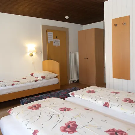 Hotel Roessli 2*