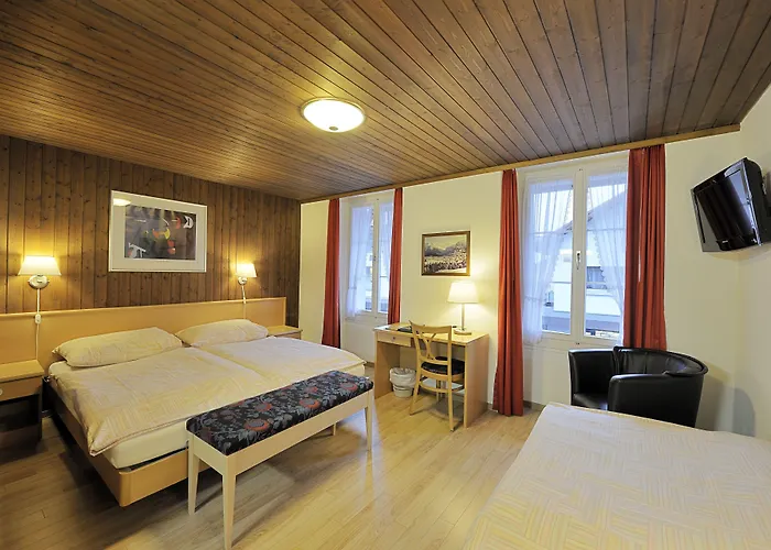 Hotel Roessli 2*