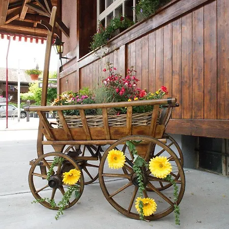 柔斯利酒店 2* Unterseen